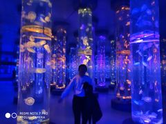 -梦幻海洋王国(吾悦广场张家港店)