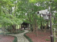 -秋霞圃