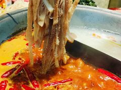 -阳阳老火锅(小南门店)