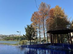 -白云湖畔酒店-湖畔餐厅