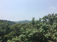 -金牛山大酒店(南北湖风景区店)