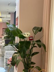 -郑州缔莱美医疗美容医院