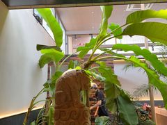 -单家老院·院子里的青岛菜(沙子口店)