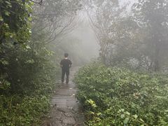 -北仑森林植物园