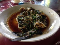 剑骨鱼啤酒炖-生态苑农庄(十里画廊遇龙河店)