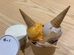 凤凰单枞雪糕-歎雪糕低糖低脂Gelato冰淇淋
