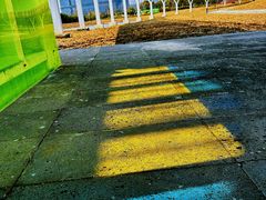 -春花秋色城市公园