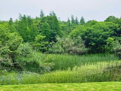 -艾溪湖湿地公园