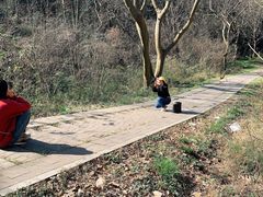 -青龙山国家森林公园