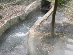 -东明山森林公园