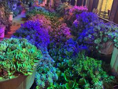 -山菌美食苑(振兴路店)