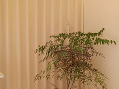 -首开·龙湖成都西宸天街
