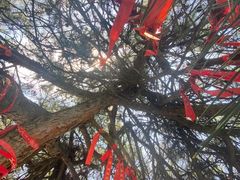 -终南山南五台景区