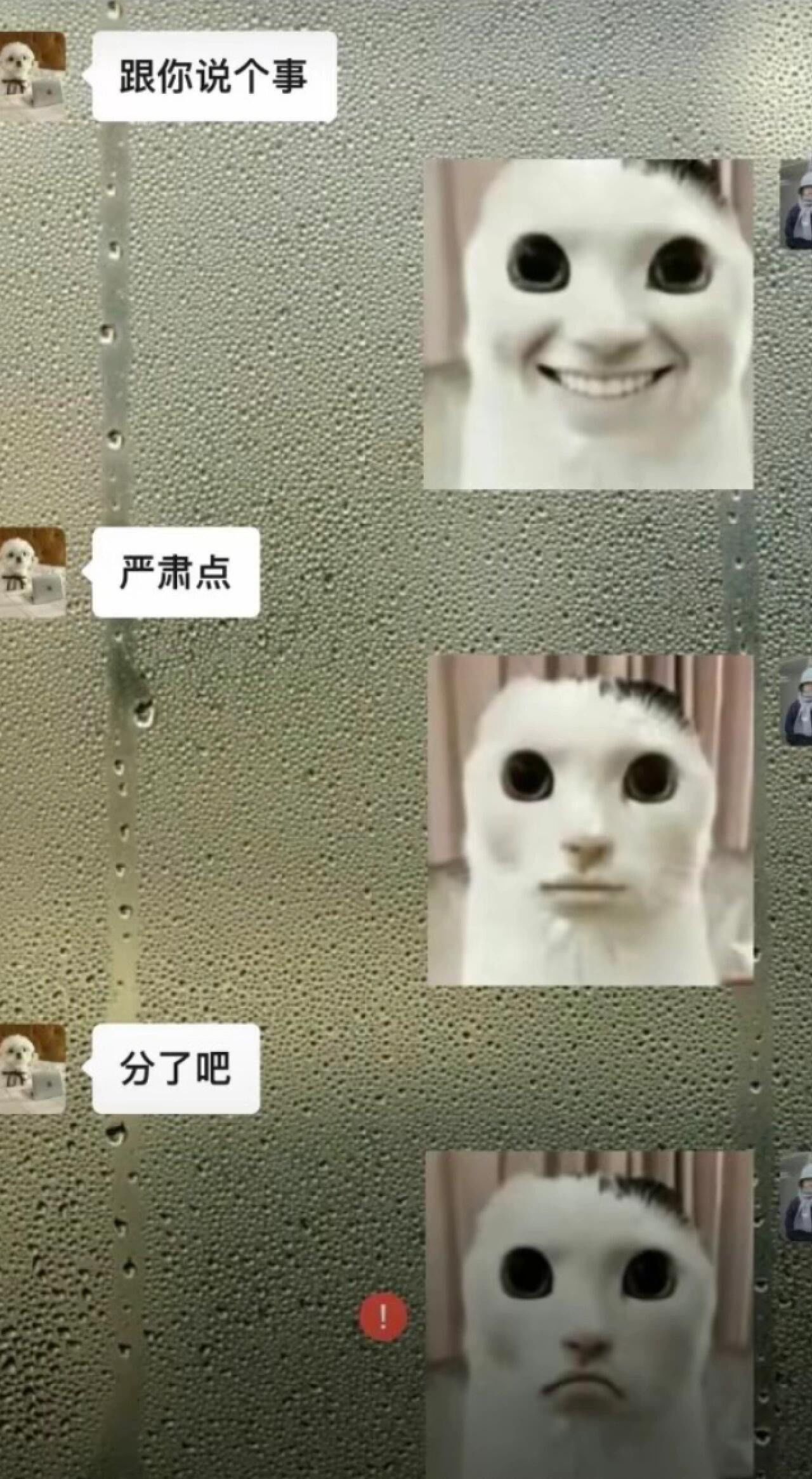 集拼图记生活 #分手复合 #聊天记录 #搞笑表情包