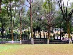 -重庆市江北嘴中央商务区中央公园