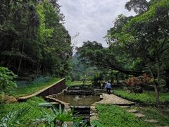 -广州市石门国家森林公园