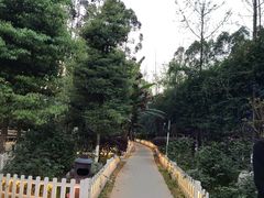 -三圣花乡旅游区