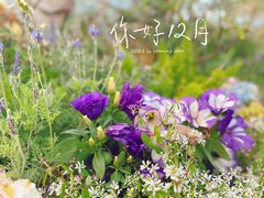-莲花山公园