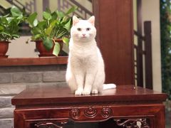 -一盃山水咖啡茶馆