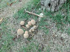 -艾溪湖湿地公园