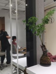 -菲·木田moontin造型salon