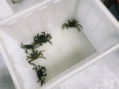 -阳澄湖大闸蟹·琼灵阁牌品牌连锁(吴中总店)