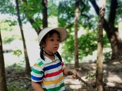 -贵阳市花溪国家城市湿地公园