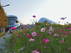 -哈尔滨大剧院