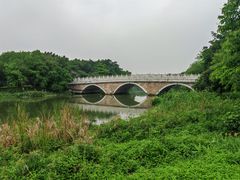 -海珠湖公园