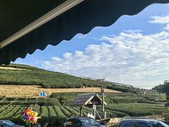 -听风阁农家私房菜茶楼(龙坞店)