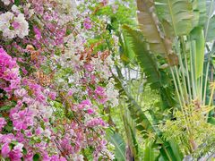 -深圳国际园林花卉博览园