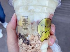 -苏玉海苏记奶酪