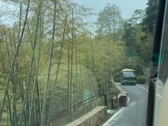 -莫干山风景区