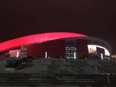 -南京奥林匹克体育中心-体育馆