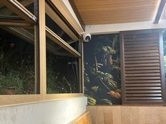 -多哥水傣味餐厅(司马巷店)