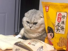 -芭比堂宠物医院·全科爱猫医院·仁德分院