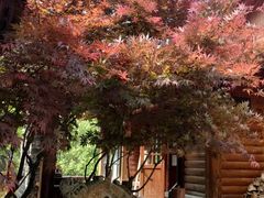 -九如山休闲旅游度假区