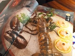 -石葵(锦业时代店)