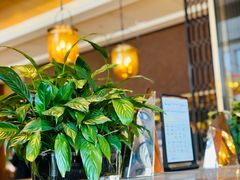 -西安凯悦酒店-自助餐厅·海鲜·烧烤