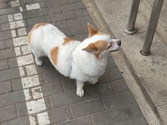 -贤合庄卤味火锅(济南泉城路店)
