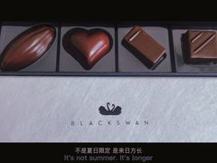 -BLACKSWAN黑天鹅(环球店)