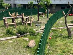 -沈阳森林动物园