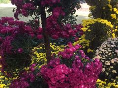 -上海市龙华烈士陵园