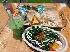 -油梨树AVOCADO TREE(望京店)