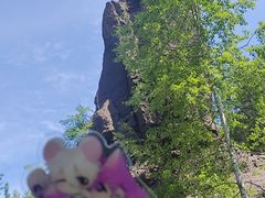 -峡谷浮石林景区