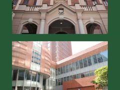-香港大学