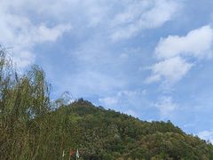 -牛背梁国家森林公园