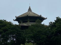 -梧桐山风景名胜区