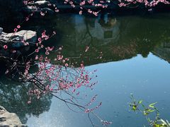 -艺圃