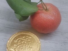 -洋房火锅(上海新天地南北里店)